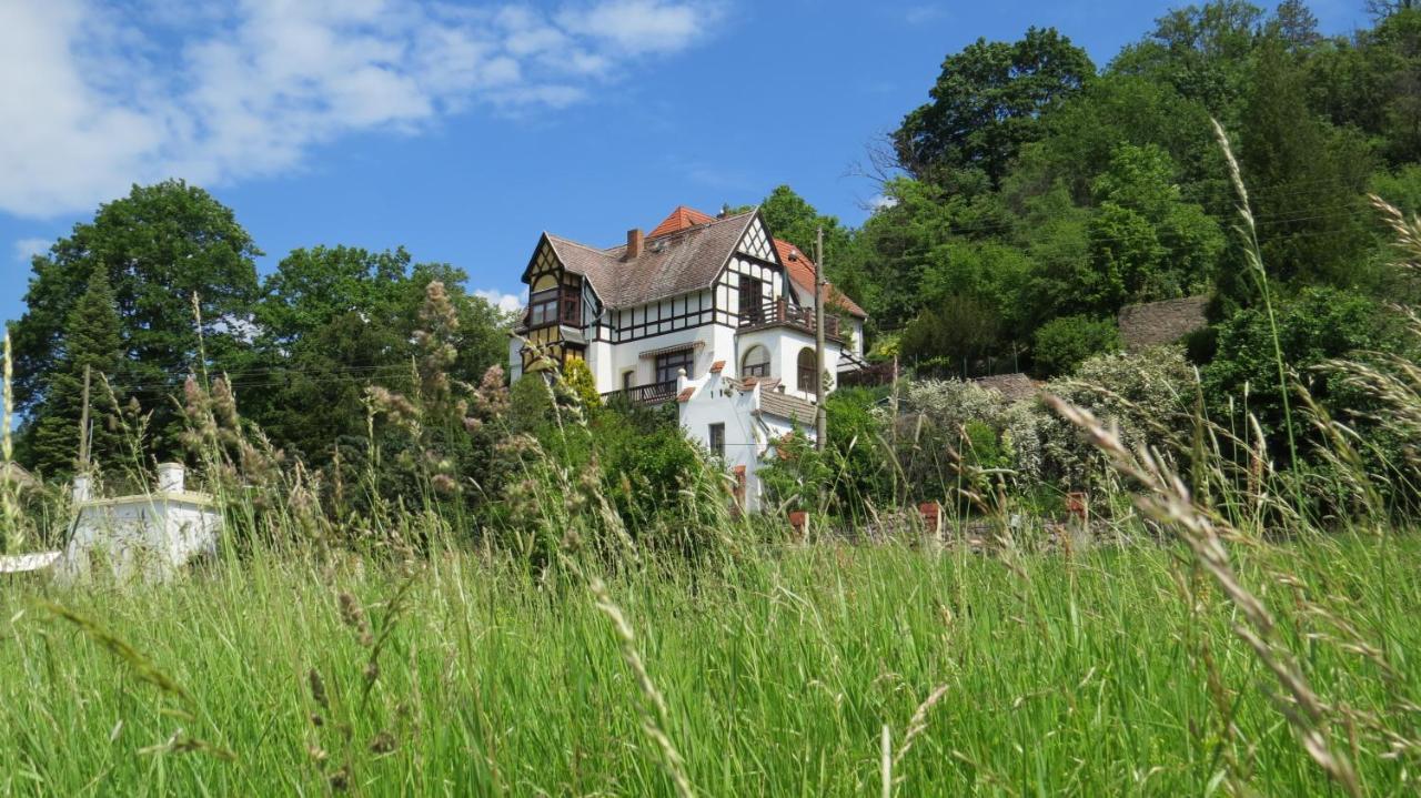 Ferienwohnung Elbsommer Am Weinberg ไมเซน ภายนอก รูปภาพ